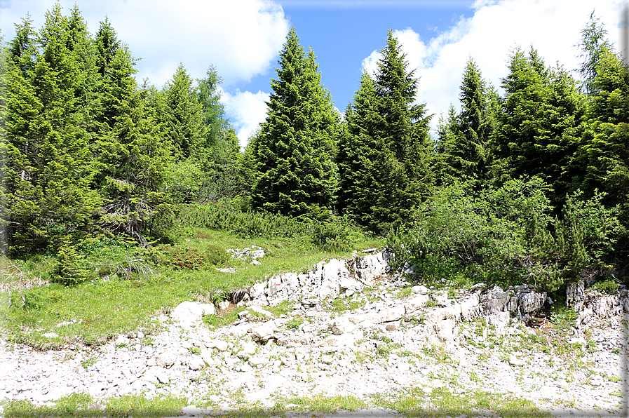 foto Panorama dal Monte Verena